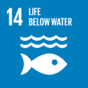 SDG Icon for Life below water